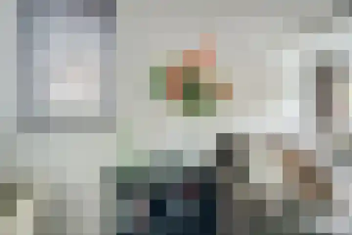 Dadelgaarde 117 Hendrik-Ido-Ambacht thumbnail 8