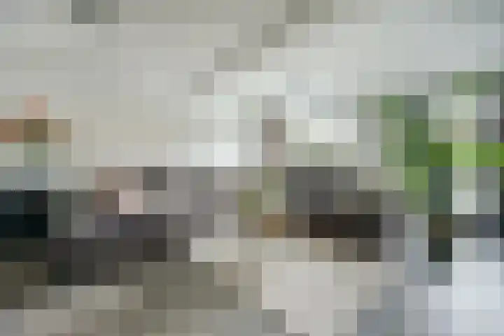Dadelgaarde 117 Hendrik-Ido-Ambacht thumbnail 9