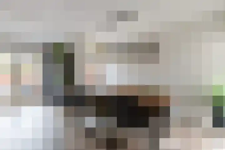 Dadelgaarde 155 Hendrik-Ido-Ambacht thumbnail 10