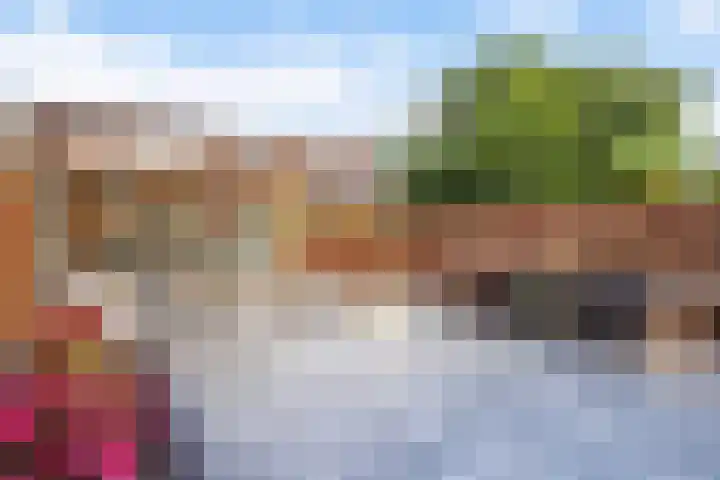Dadelgaarde 155 Hendrik-Ido-Ambacht thumbnail 13