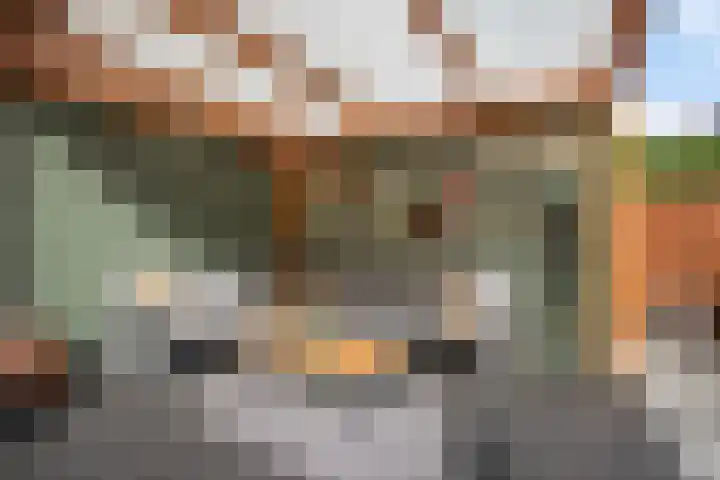 Dadelgaarde 155 Hendrik-Ido-Ambacht thumbnail 14