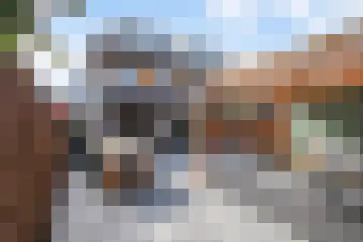 Dadelgaarde 155 Hendrik-Ido-Ambacht thumbnail 15