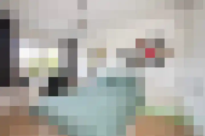 Dadelgaarde 155 Hendrik-Ido-Ambacht thumbnail 16