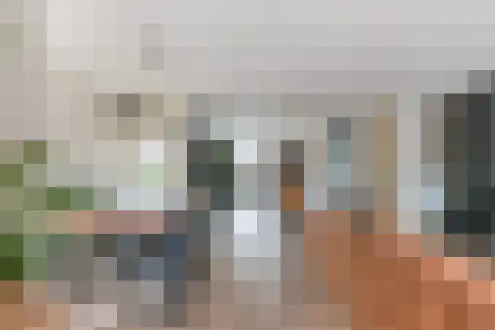 Dadelgaarde 155 Hendrik-Ido-Ambacht thumbnail 9