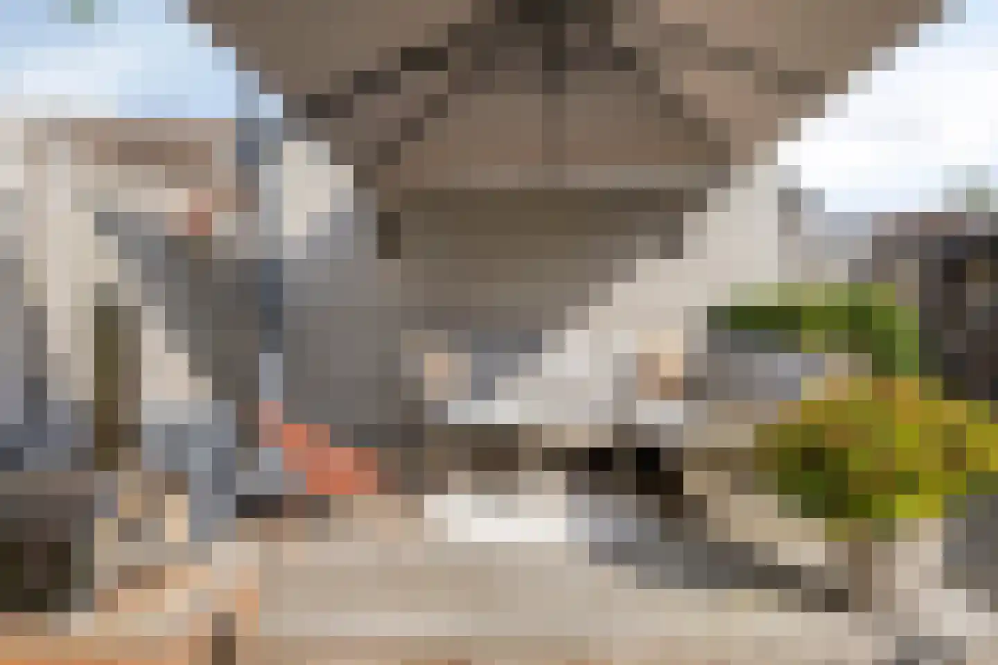 Dadelgaarde 159 Hendrik-Ido-Ambacht thumbnail 30