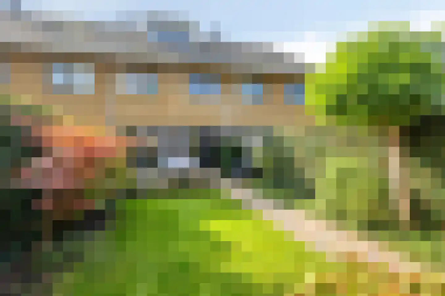 Dadelgaarde 159 Hendrik-Ido-Ambacht thumbnail 31