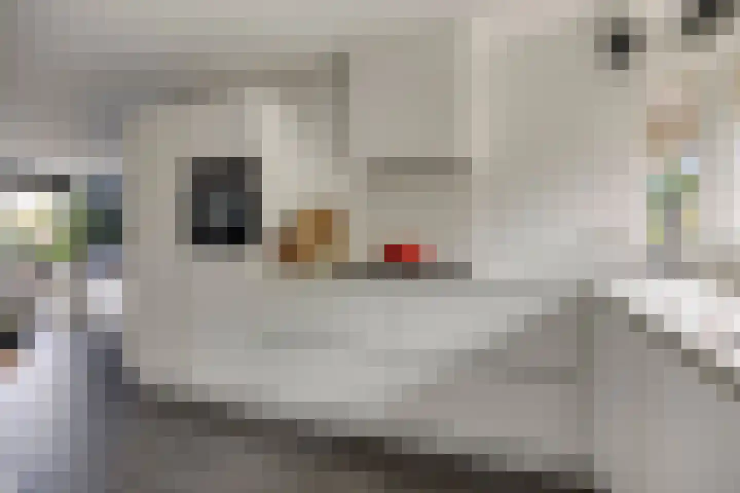 Dadelgaarde 159 Hendrik-Ido-Ambacht thumbnail 4