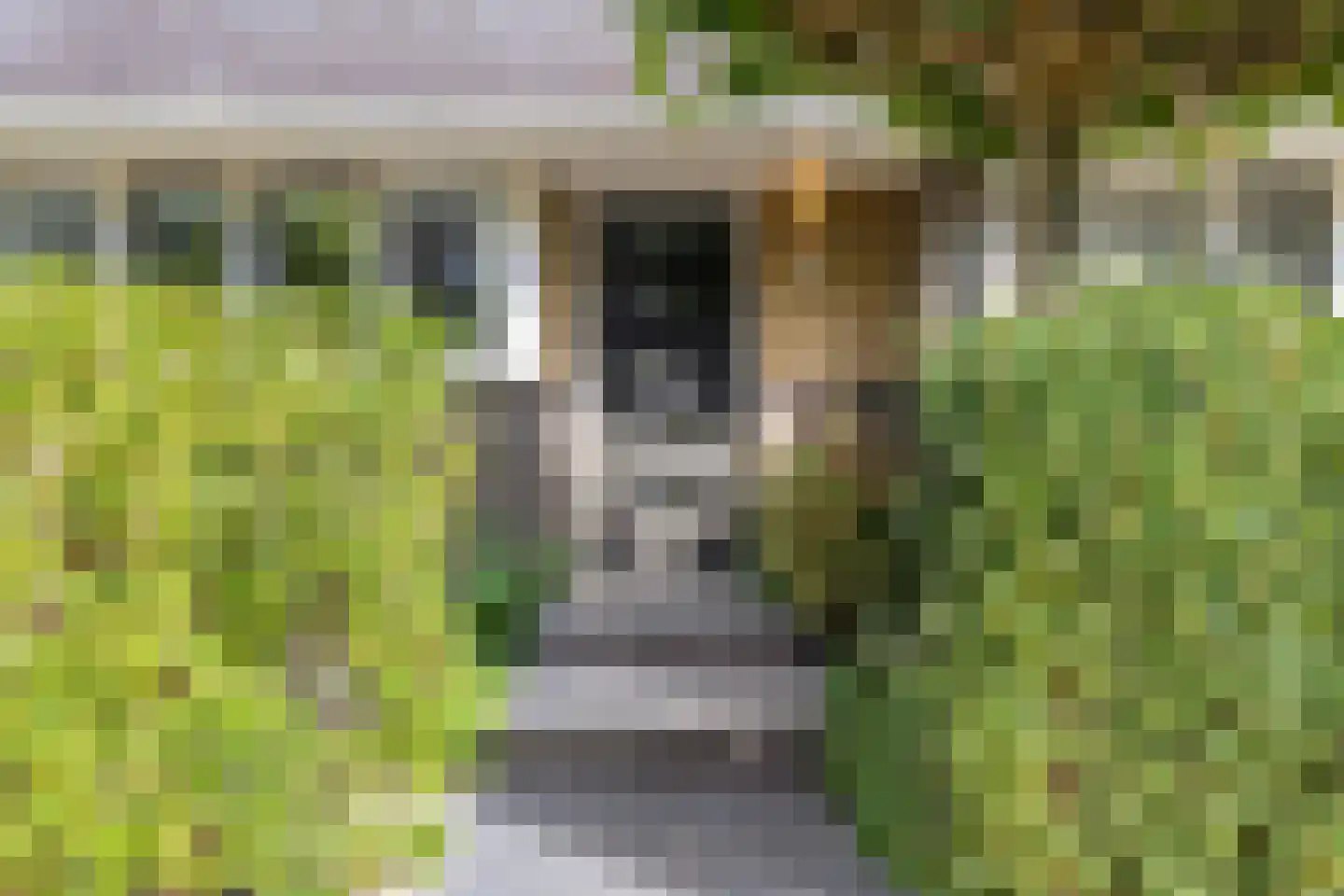 Dadelgaarde 159 Hendrik-Ido-Ambacht thumbnail 5