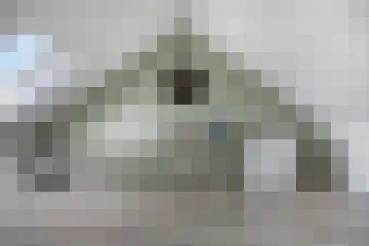 Dadelgaarde 189 Hendrik-Ido-Ambacht thumbnail 13
