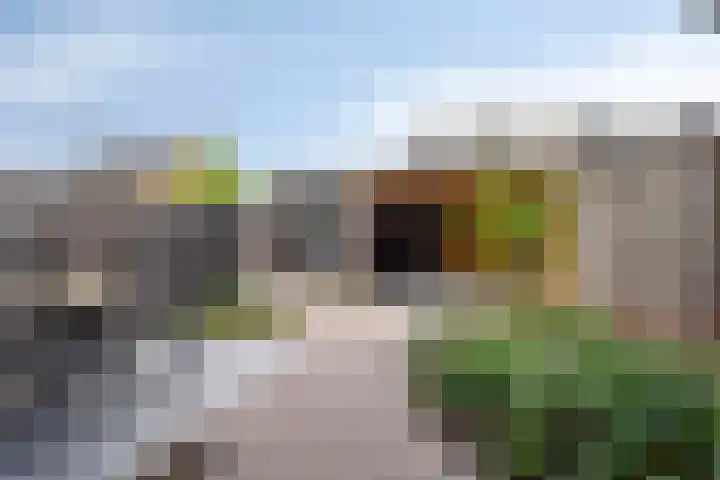 Dadelgaarde 189 Hendrik-Ido-Ambacht thumbnail 14