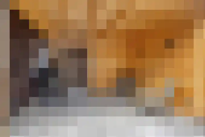 Dadelgaarde 189 Hendrik-Ido-Ambacht thumbnail 15