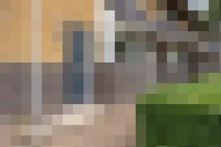 Dadelgaarde 189 Hendrik-Ido-Ambacht thumbnail 16