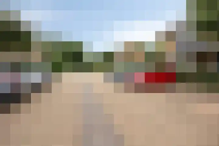 Dadelgaarde 189 Hendrik-Ido-Ambacht thumbnail 17