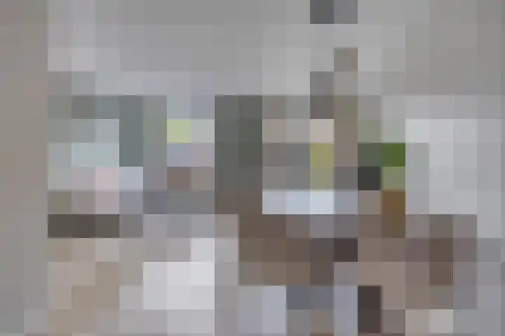 Dadelgaarde 189 Hendrik-Ido-Ambacht thumbnail 6