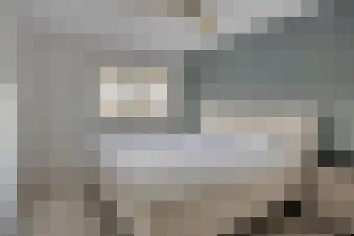 Dadelgaarde 189 Hendrik-Ido-Ambacht thumbnail 8