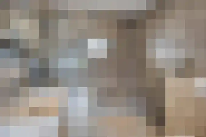 Dadelgaarde 189 Hendrik-Ido-Ambacht thumbnail 9