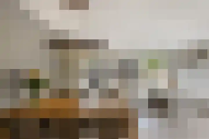 Dadelgaarde 225 Hendrik-Ido-Ambacht thumbnail 18