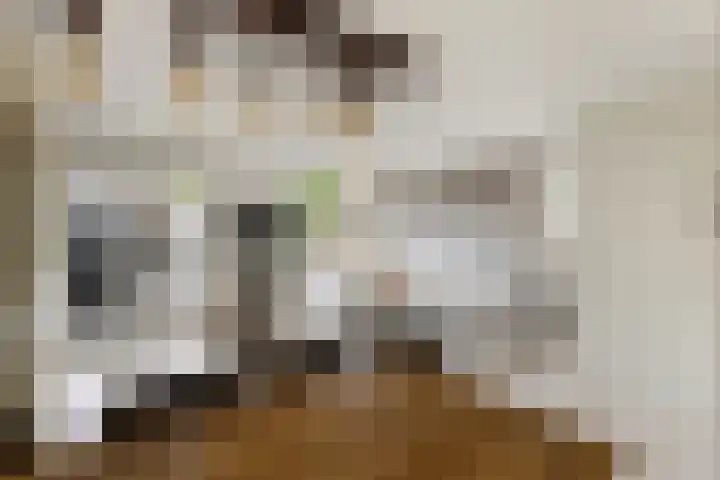 Dadelgaarde 225 Hendrik-Ido-Ambacht thumbnail 19