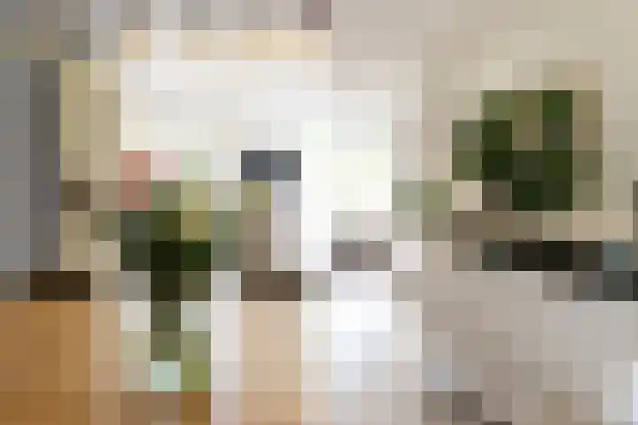 Dadelgaarde 225 Hendrik-Ido-Ambacht thumbnail 20