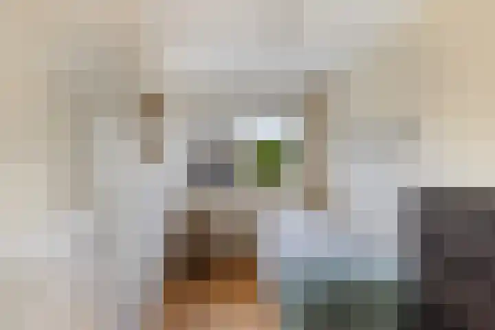 Dadelgaarde 225 Hendrik-Ido-Ambacht thumbnail 23