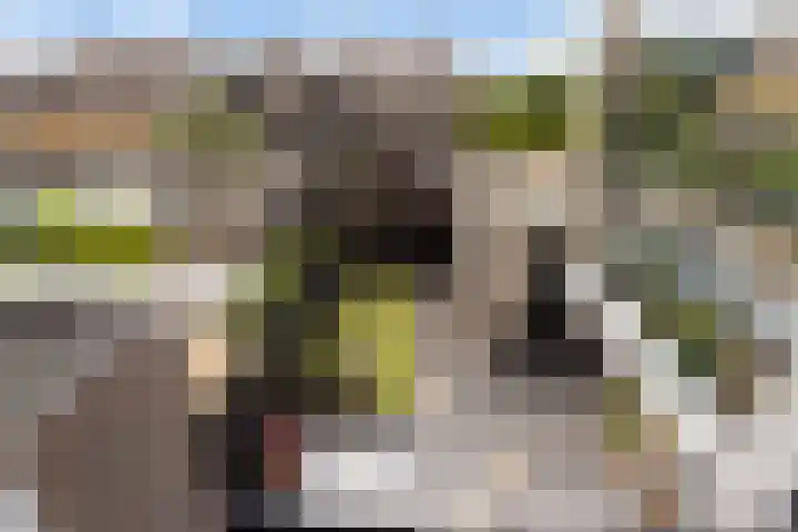 Dadelgaarde 225 Hendrik-Ido-Ambacht thumbnail 27