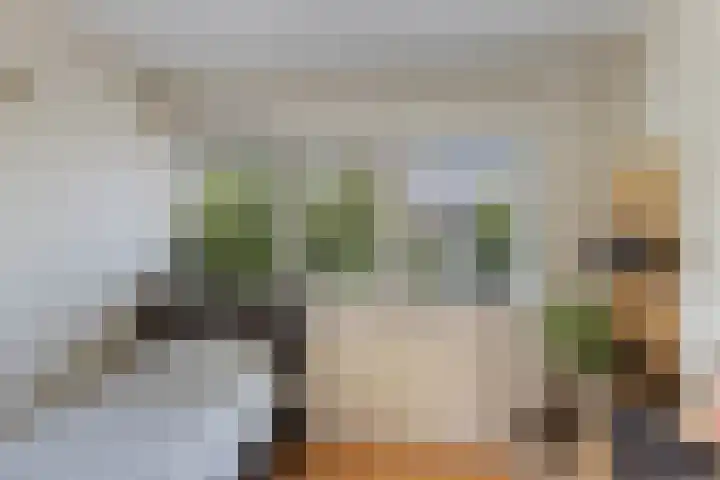 Dadelgaarde 225 Hendrik-Ido-Ambacht thumbnail 30