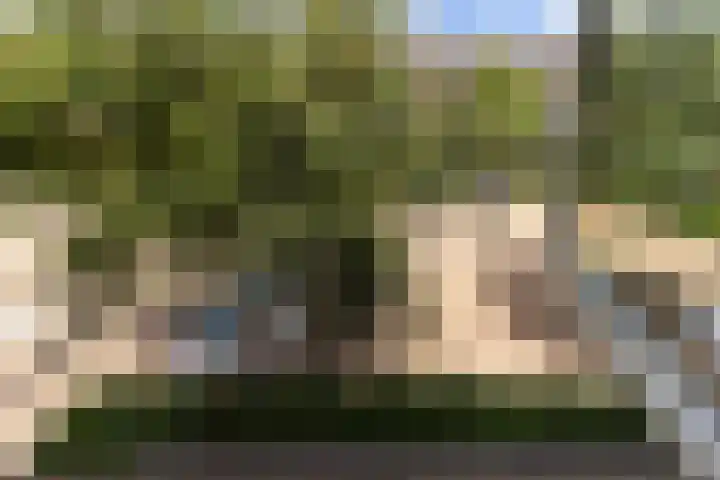 Dadelgaarde 225 Hendrik-Ido-Ambacht thumbnail 31