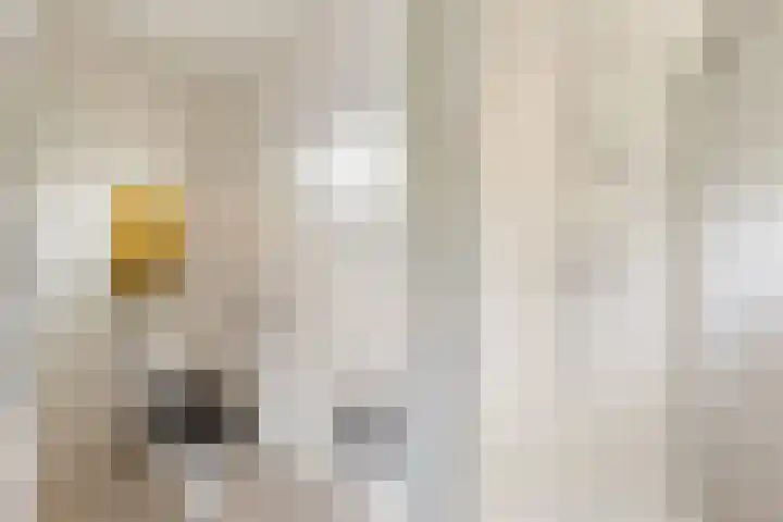 Dadelgaarde 225 Hendrik-Ido-Ambacht thumbnail 34