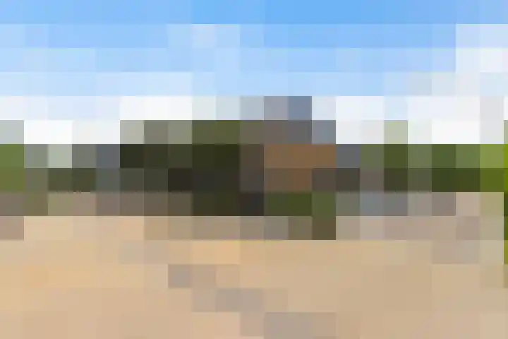 Dadelgaarde 225 Hendrik-Ido-Ambacht thumbnail 39
