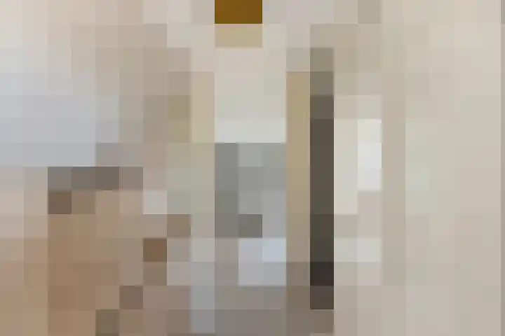 Dadelgaarde 225 Hendrik-Ido-Ambacht thumbnail 4