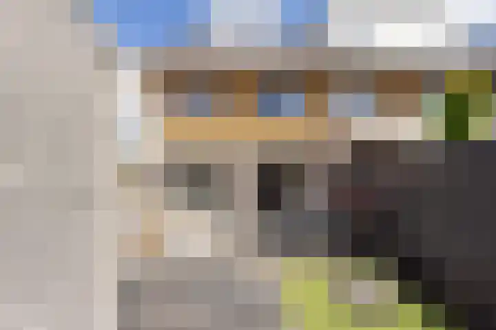 Dadelgaarde 225 Hendrik-Ido-Ambacht thumbnail 40