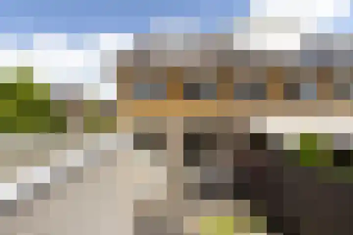 Dadelgaarde 225 Hendrik-Ido-Ambacht thumbnail 41