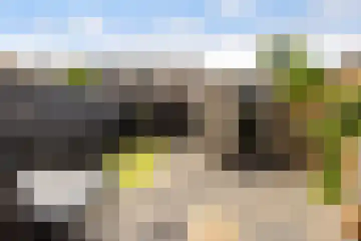 Dadelgaarde 225 Hendrik-Ido-Ambacht thumbnail 45