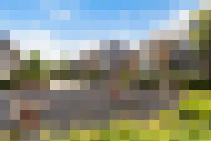 Dadelgaarde 225 Hendrik-Ido-Ambacht thumbnail 48