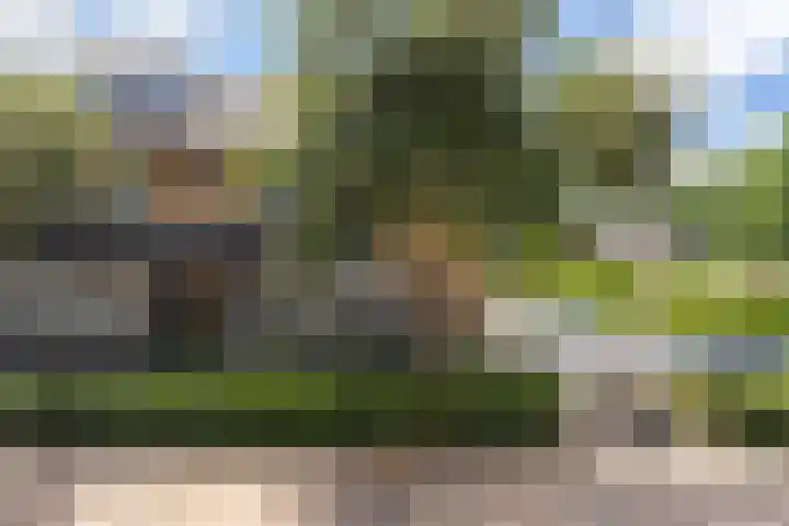 Dadelgaarde 225 Hendrik-Ido-Ambacht thumbnail 59