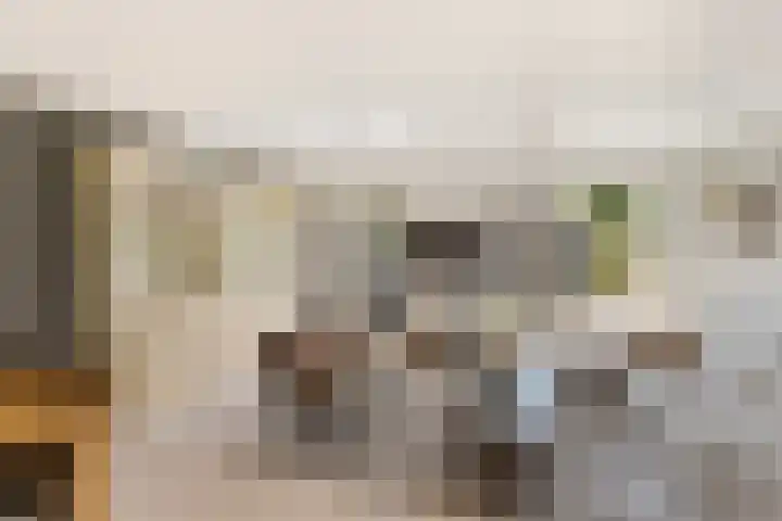 Dadelgaarde 225 Hendrik-Ido-Ambacht thumbnail 7