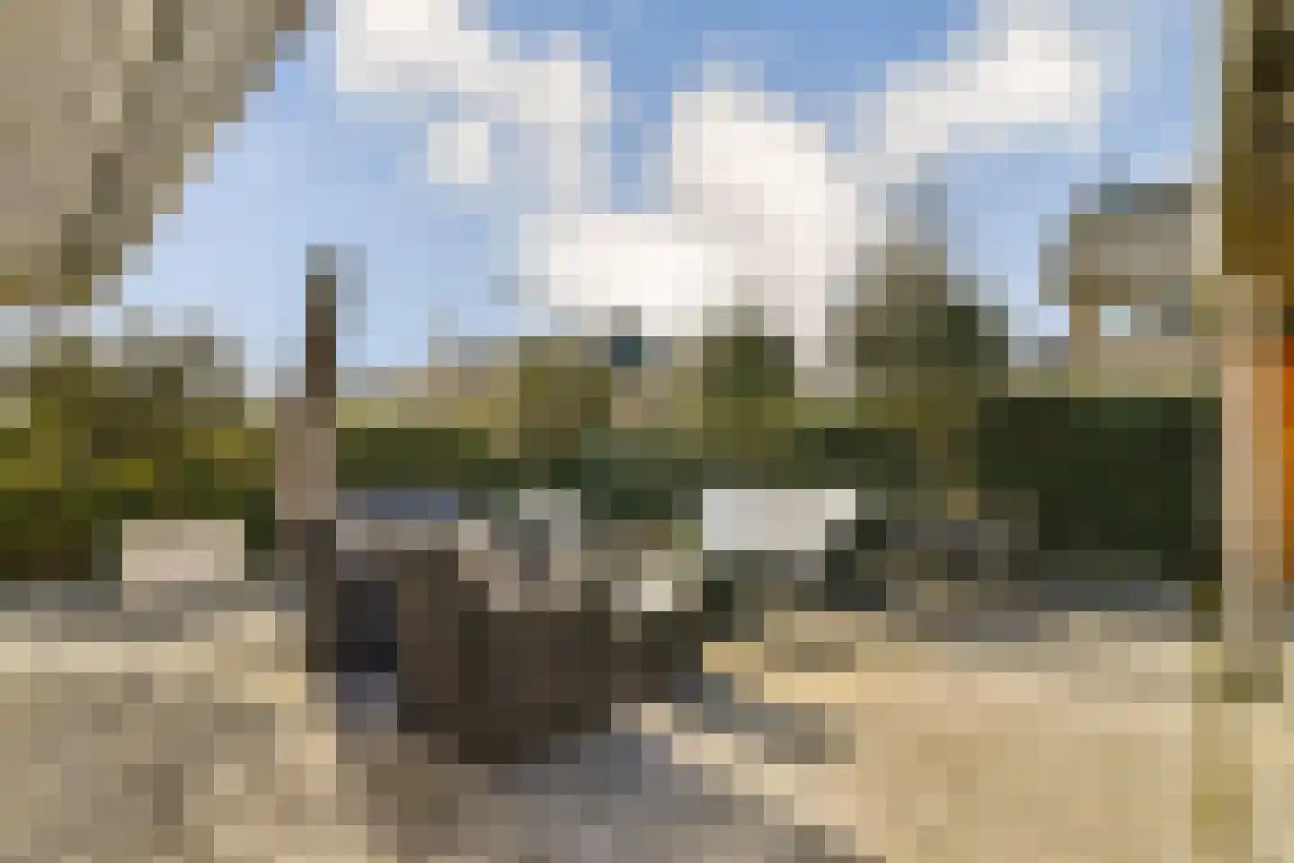 Dadelgaarde 26 Hendrik-Ido-Ambacht thumbnail 13