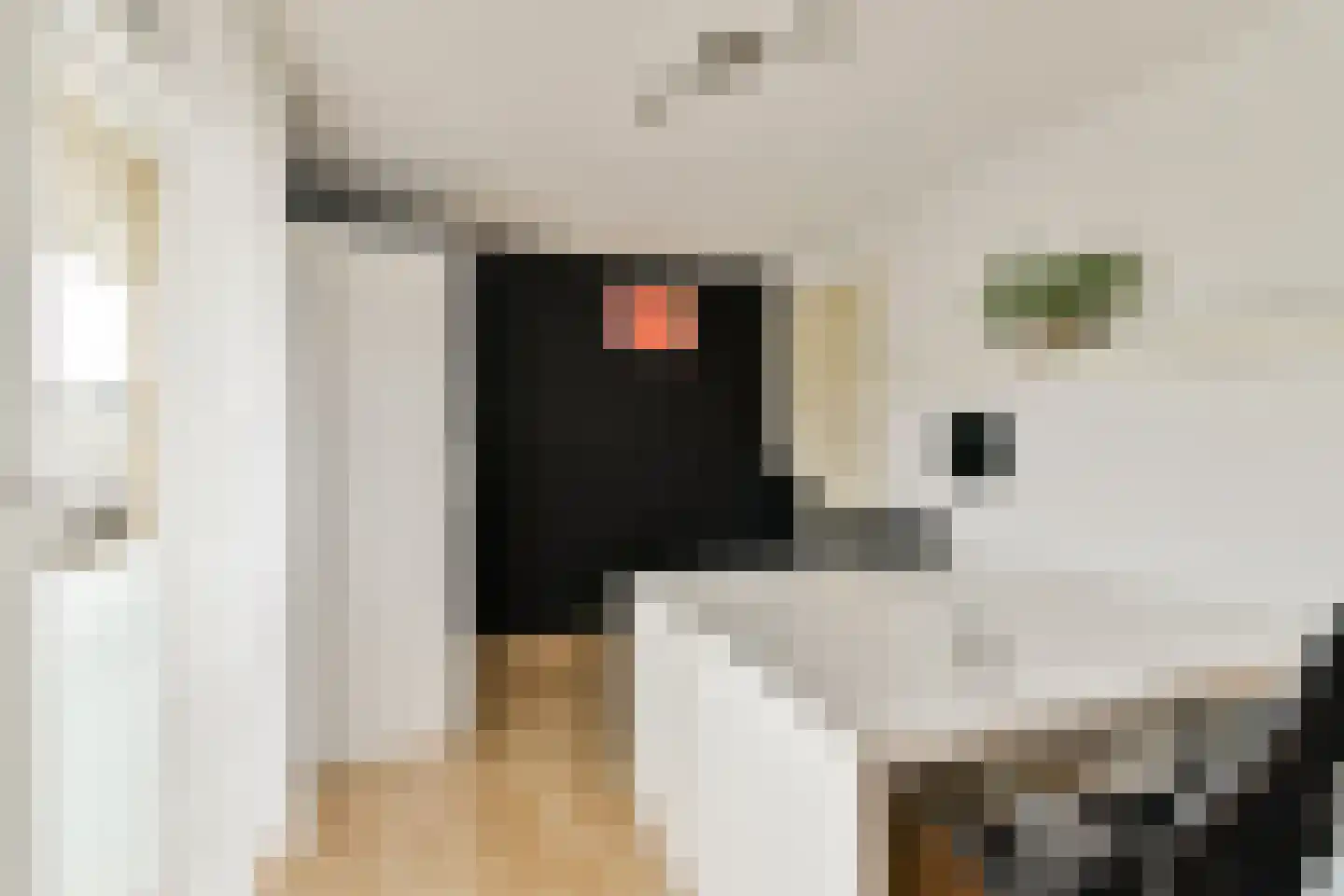 Dadelgaarde 26 Hendrik-Ido-Ambacht thumbnail 27