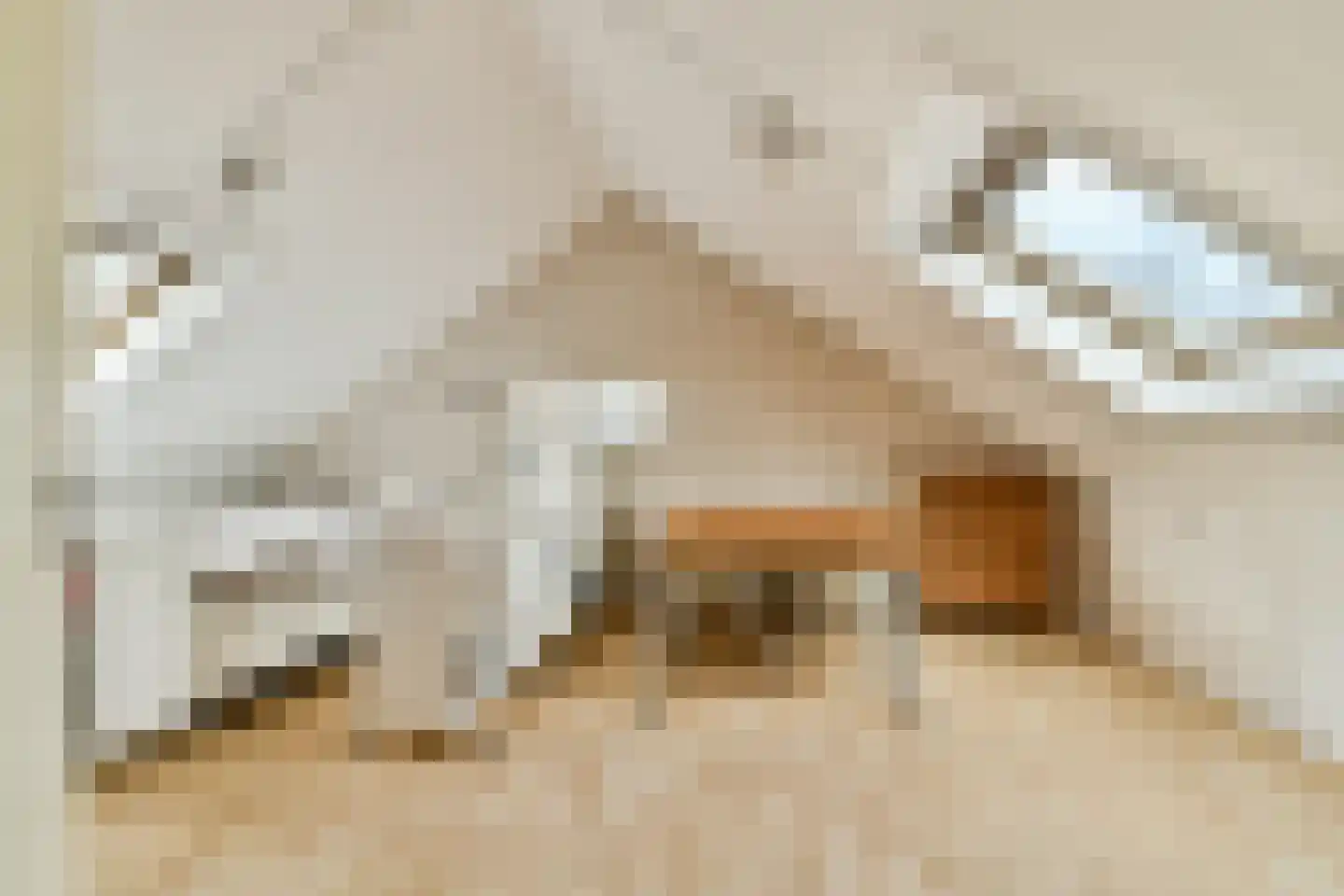Dadelgaarde 26 Hendrik-Ido-Ambacht thumbnail 29