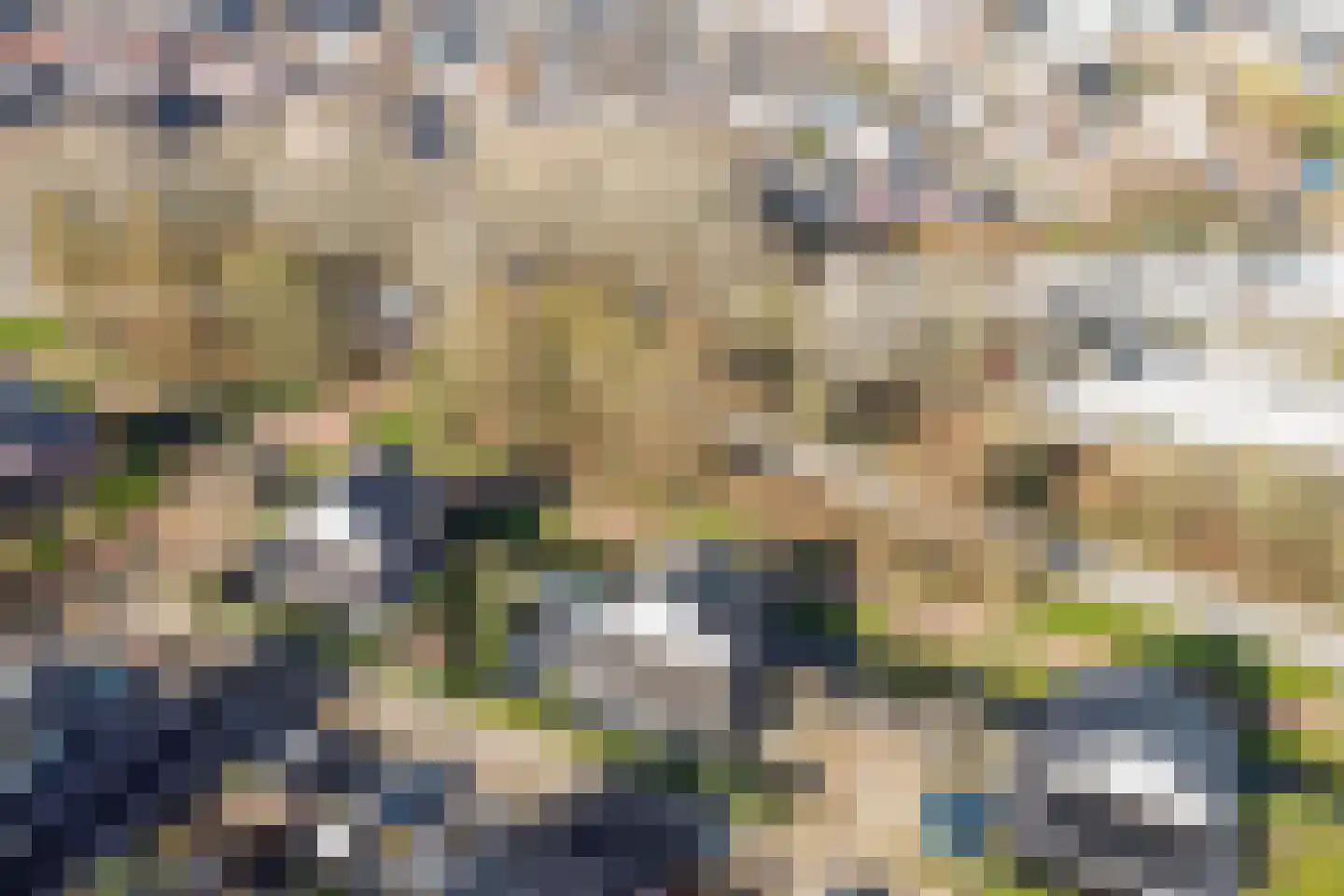 Dadelgaarde 26 Hendrik-Ido-Ambacht thumbnail 32
