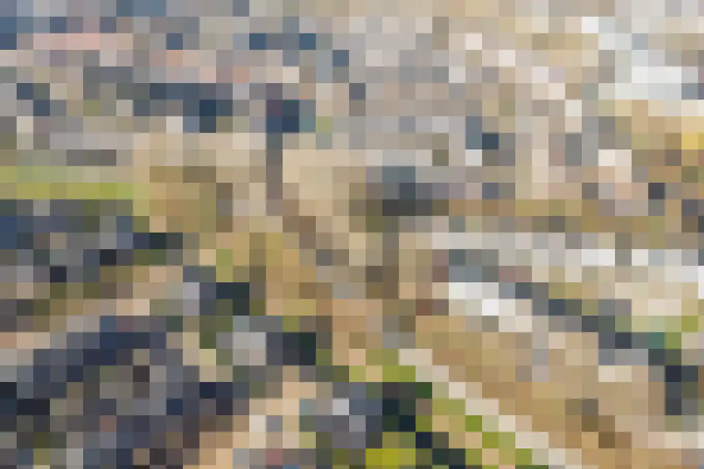 Dadelgaarde 26 Hendrik-Ido-Ambacht thumbnail 33