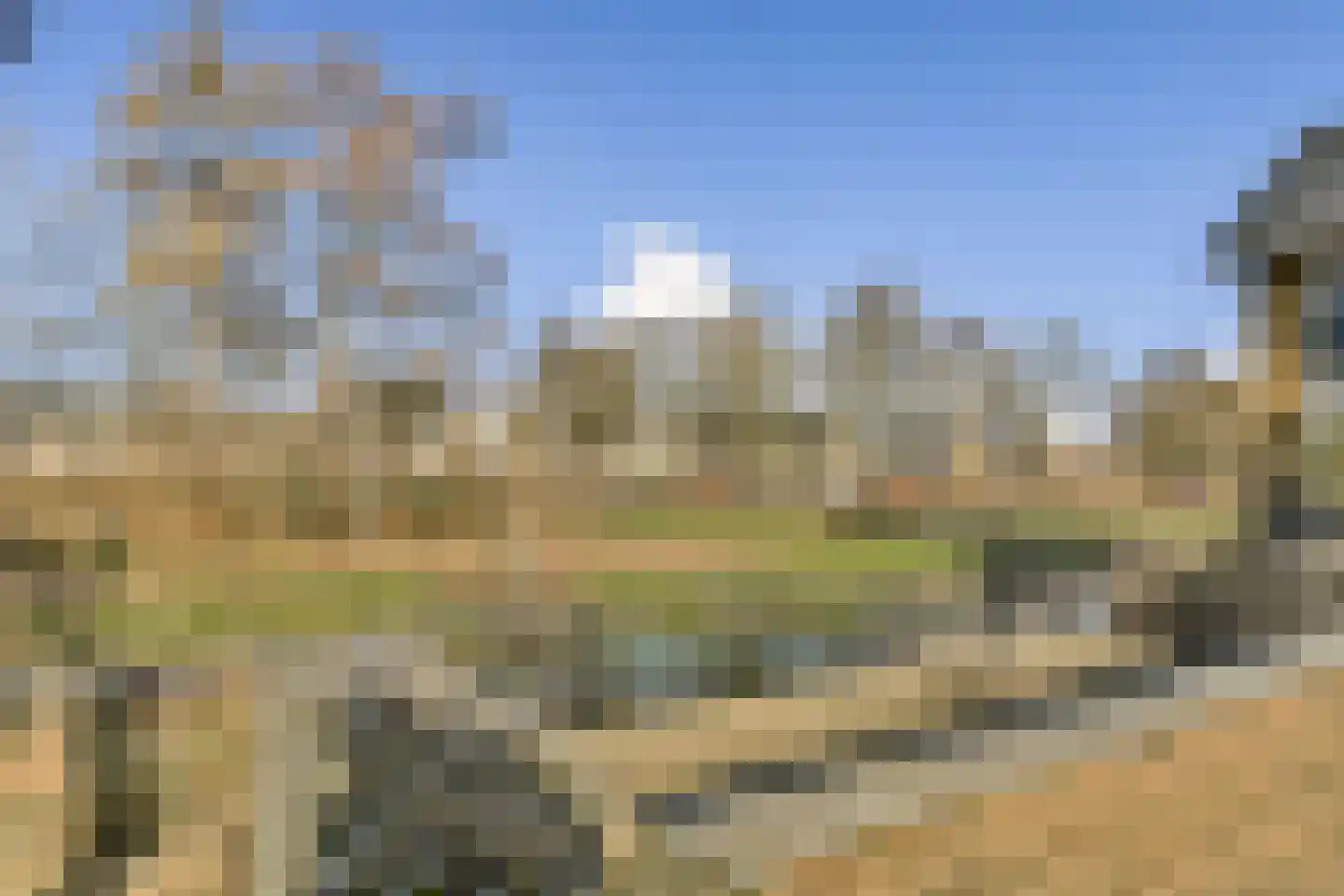Dadelgaarde 26 Hendrik-Ido-Ambacht thumbnail 38