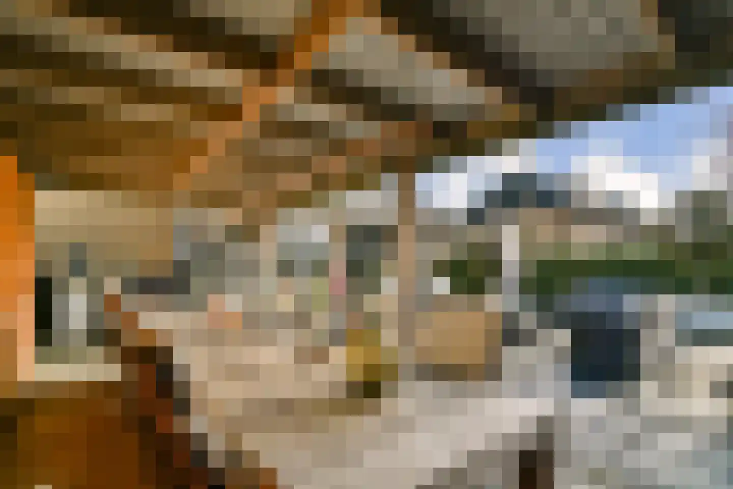 Dadelgaarde 26 Hendrik-Ido-Ambacht thumbnail 4