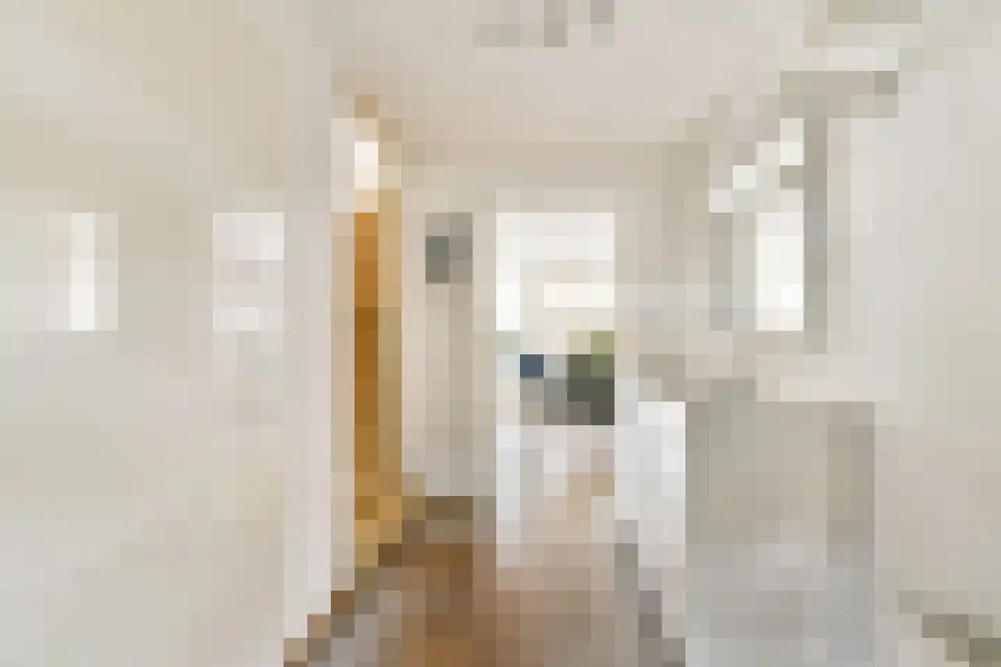 Dadelgaarde 26 Hendrik-Ido-Ambacht thumbnail 7