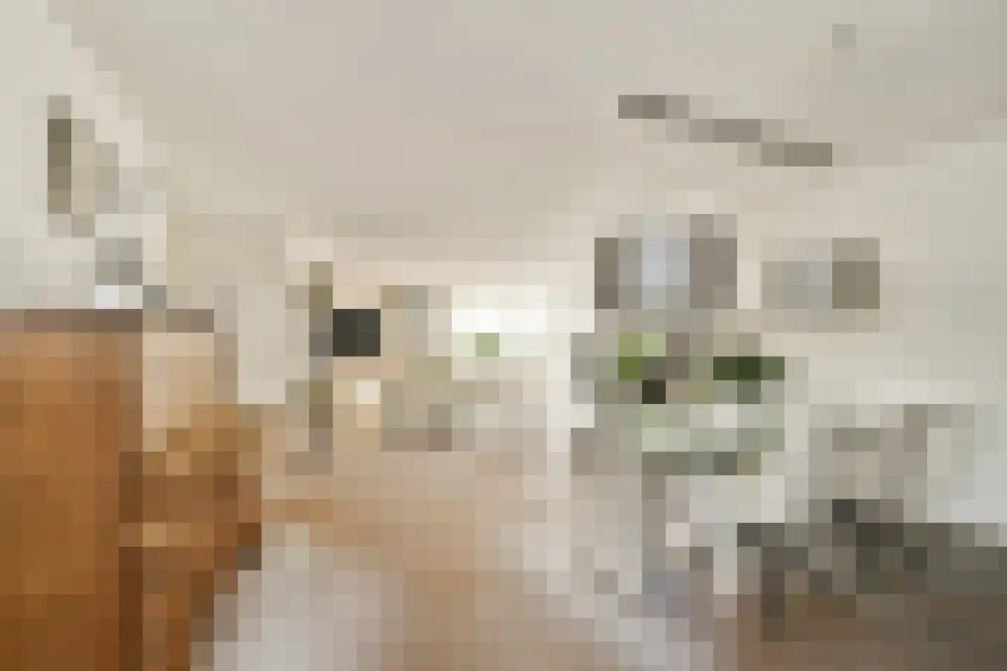 Dadelgaarde 26 Hendrik-Ido-Ambacht thumbnail 8