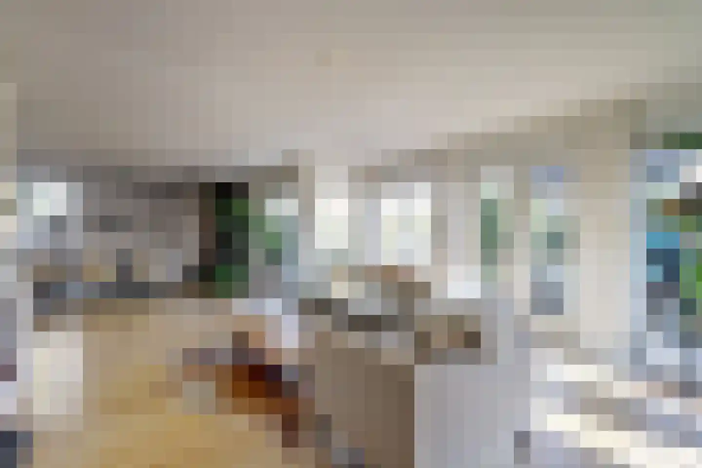 Dadelgaarde 28 Hendrik-Ido-Ambacht thumbnail 10