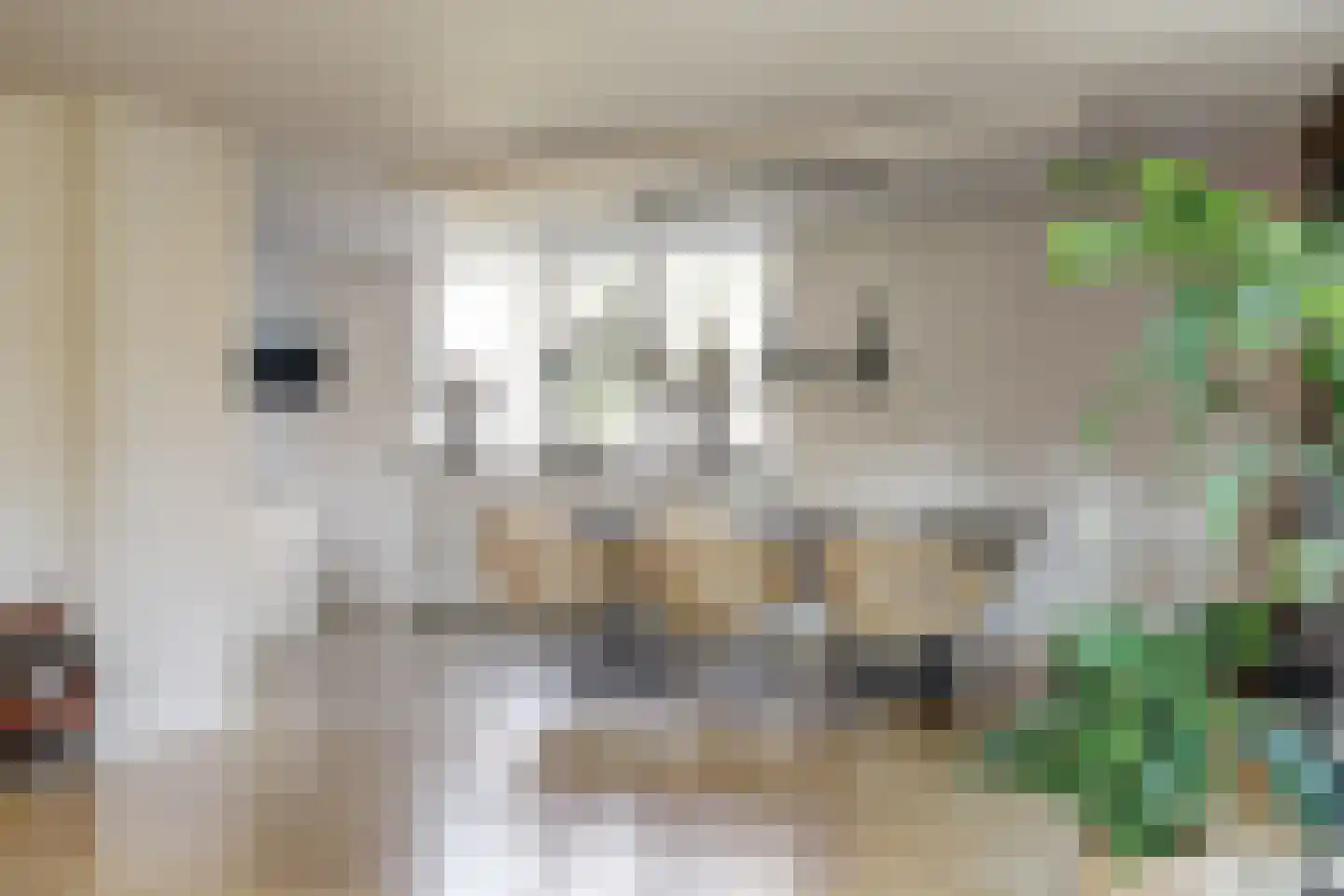Dadelgaarde 28 Hendrik-Ido-Ambacht thumbnail 12