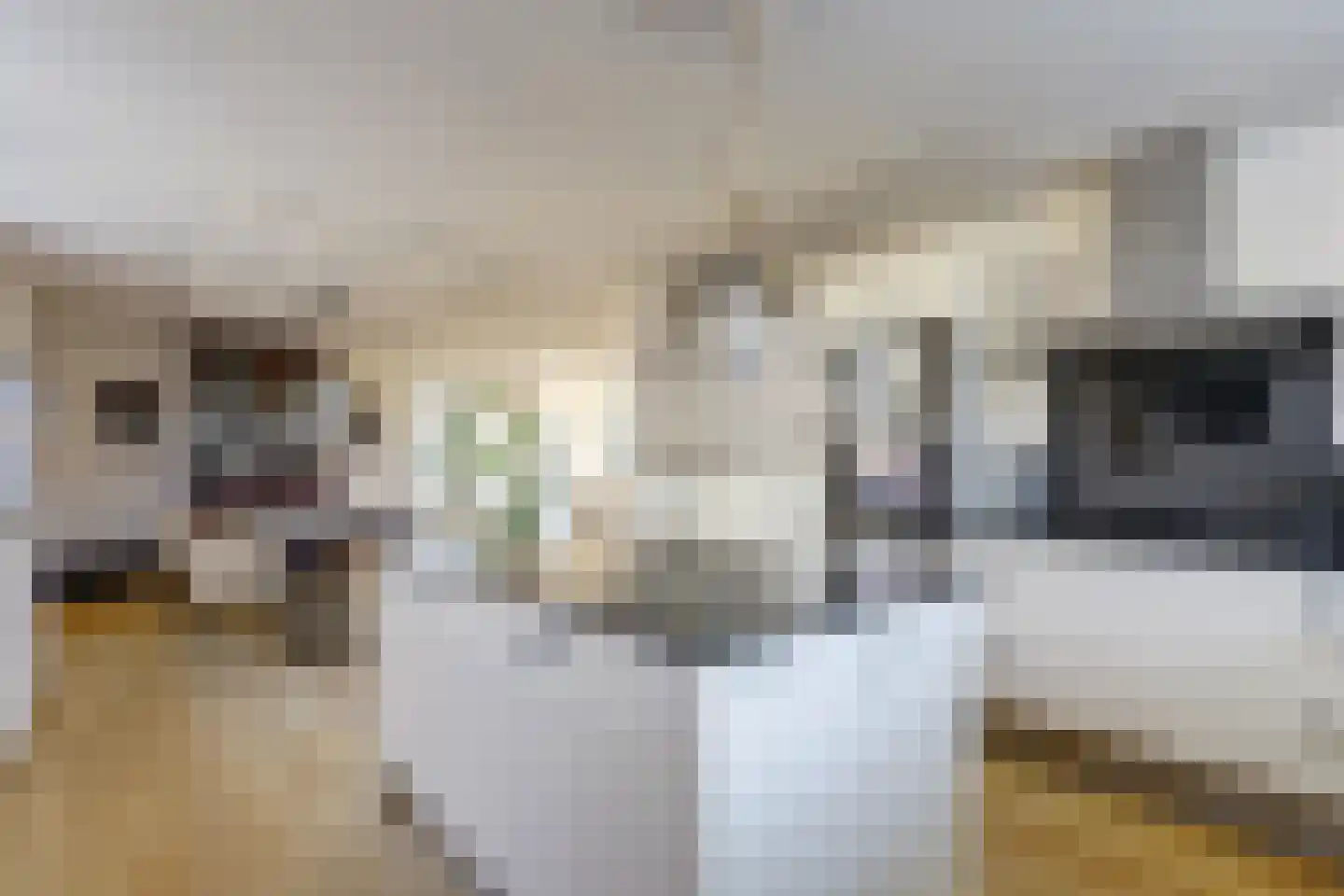 Dadelgaarde 28 Hendrik-Ido-Ambacht thumbnail 17