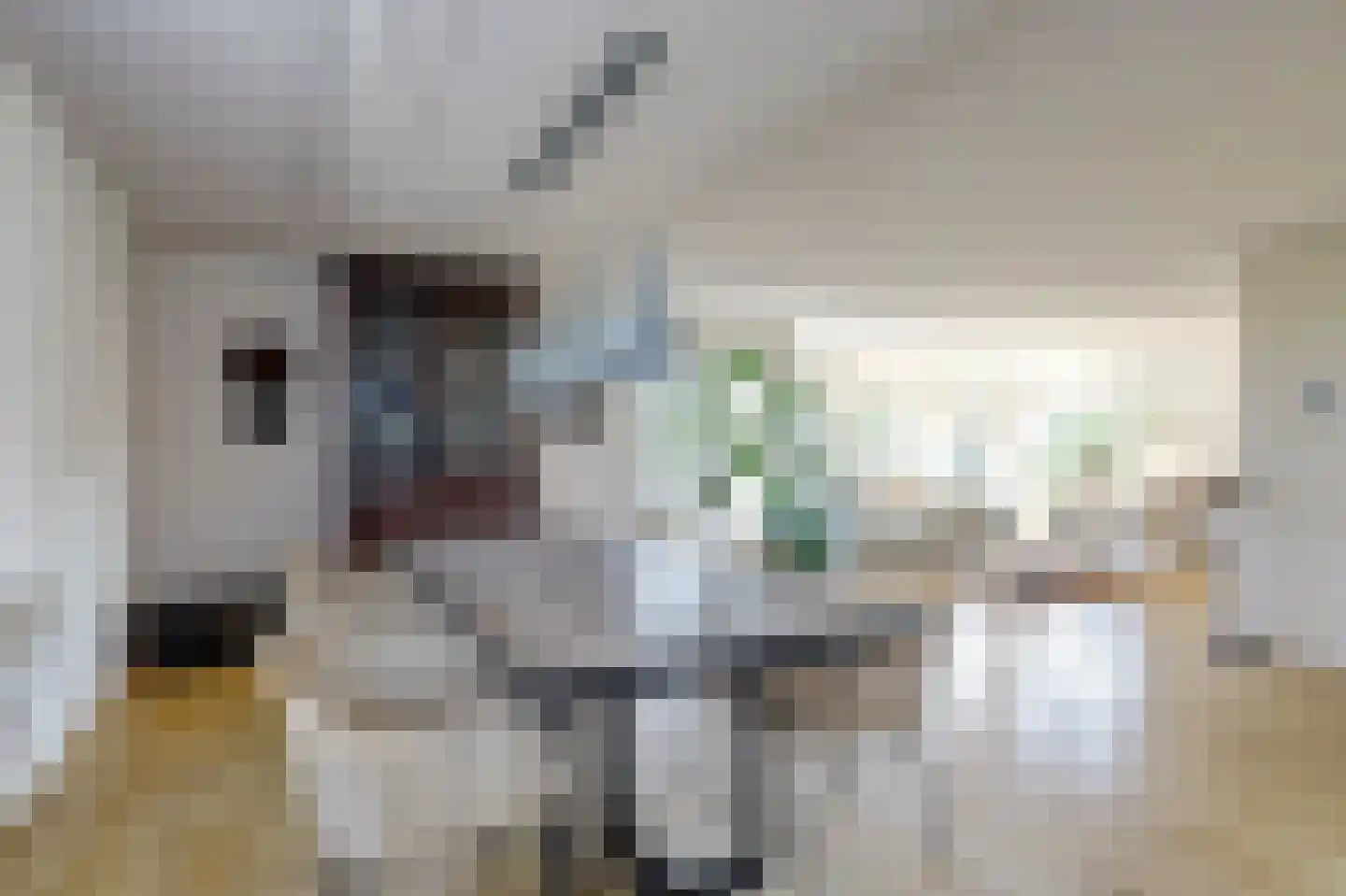 Dadelgaarde 28 Hendrik-Ido-Ambacht thumbnail 19