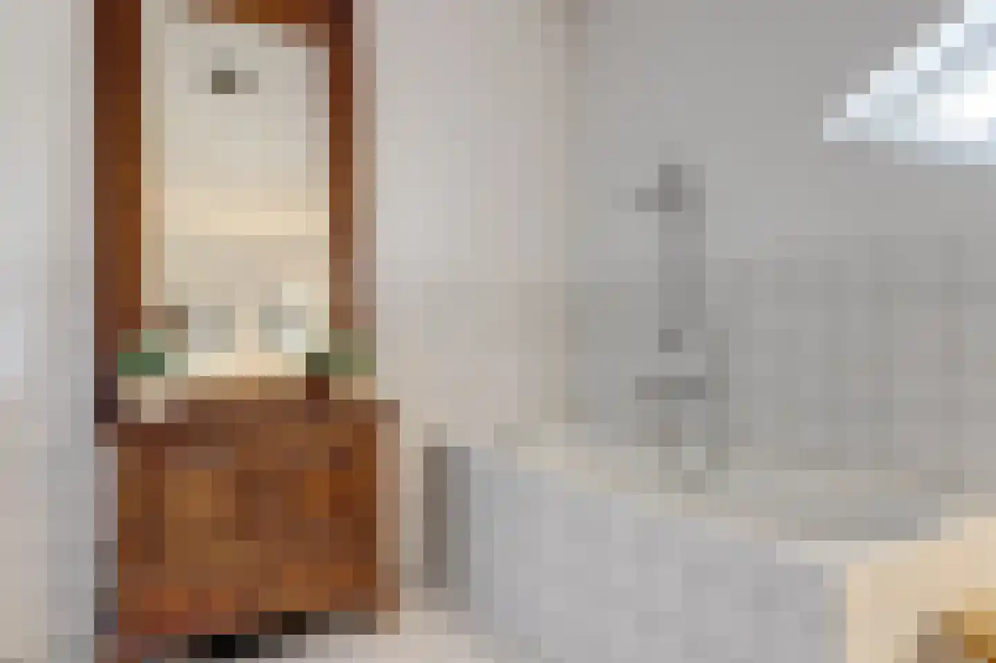 Dadelgaarde 28 Hendrik-Ido-Ambacht thumbnail 32